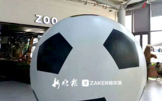足球内胆生产环保吗，足球内胆是怎样生产出来的